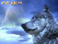 �lk�c� Yemini Bozkurt