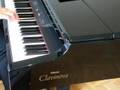 Gewichtete und anschlagsdynamische Tasten Clavinova