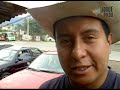 Curado de Ostión
