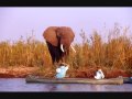 The hidden secrets of Zambia