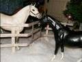 a merry breyer christmas:)