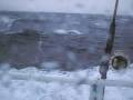 iceland fishing