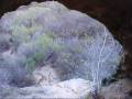 Laguna Canyon Trail Cave