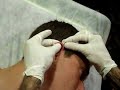 harshara amlat 2007 piercing bruno harshara amlat 2007 piercing bruno