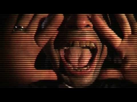 ليبيات