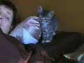 The Kitten Vs the Bird 10 Rounds The Kitten Vs the Bird 10 Rounds