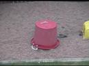 how-to-make-a-real-sparkler-bomb.html