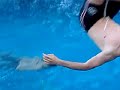 tuffo capriola 5a euclide bari lloret de mar
