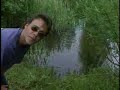 Matt Hayes Carping Matt Hayes Carping