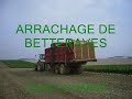 John Deere 8520 et 6910 aux betteraves.