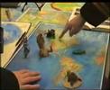 Piratas al Caribe Raw (No editado)