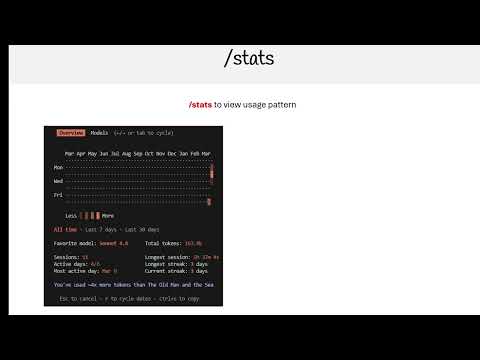 Claude Code Essentials - Stats Command