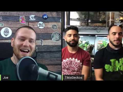 YouTube reptile video