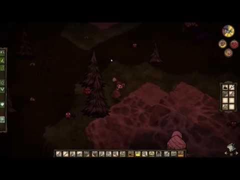 how to transplant berry bushes don't starve