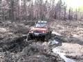 Просмотр видео