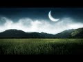 Arnej feat Josie  Strangers Weve Become [HD]