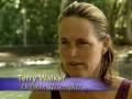 Swimming With Dolphins As Therapy?