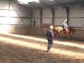 paardrijles paardrijles