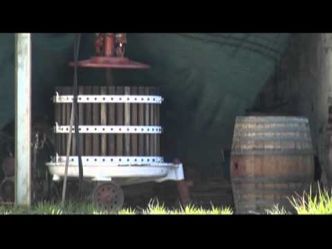 Welgemeend Wine Estate