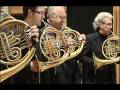 Vienna Horns Back to the Future Vienna Horns Back to the Future