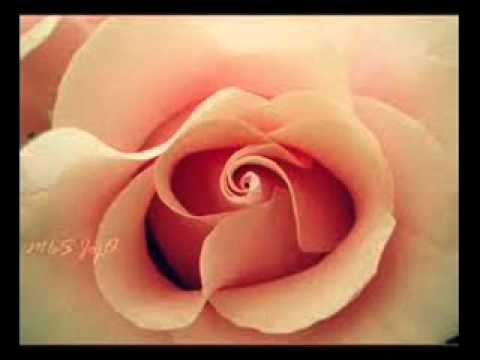 اغنية عيد ميلاد الام