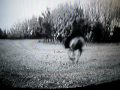 Barbara Steele video 1
