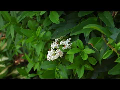 Барановичи день за днем. 30.06.22.