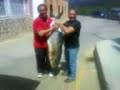 pescado record en  gandia