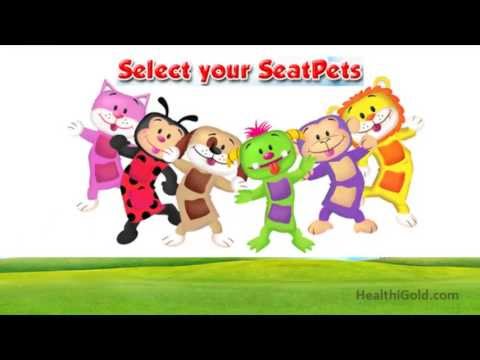 how to make a seat belt pillow