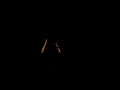 teledysk, klip, NEW ORDER,- Your Silent Face