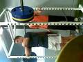 Front squat 375 lbs
