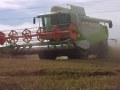 CLAAS Lexion 540 Fendt 412 MTZ JD 6410 aratás