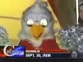 Stephen Colbert: Steagle Colbeagle The Eagle