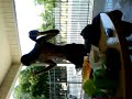video-2009-06-20-16-32-56.3gp
