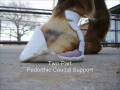 Hoof Lameness 1 on 1 Caudal Support.wmv