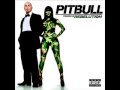 08 Hotel room service - Pitbull with lyrics
