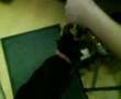 Dog vs teddy