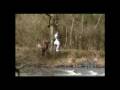 bushtales Hoog en Droog