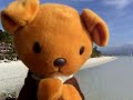 Teddy Bear - Boracay Island, Philippines - Goldie Reports
