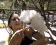Cacatua de 18 Mil Reais!
