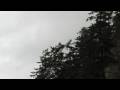 videos de Cama Beach