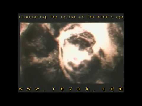 scene high quality life zone �...