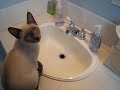 Kamiko Water Kamiko Water