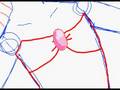 videos de Transformation Suki (sketch unfinished)