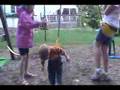 Dominic swinging again