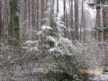 Testing windoes movie maker