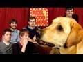 Talking Dog, Untucked Films, Sausage Fest : Reel Good Show