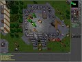 Tibia Quest 