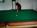 Partida de Sinuca