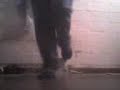 /baiilameelecktro baila untoke 2 /baiilameelecktro baila untoke 2